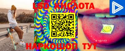 стаф Кимры