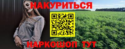 стаф Кимры
