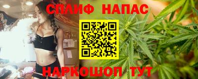 бошки Кинель