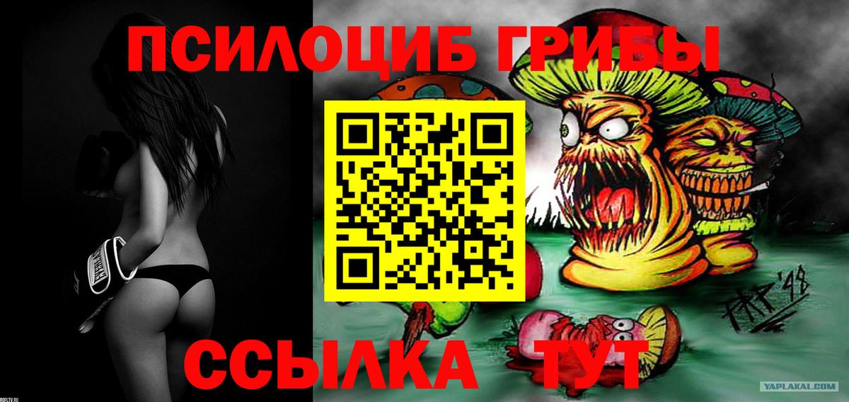 Псилоцибиновые грибы Cubensis  Вход с VPN  Кудымкар 